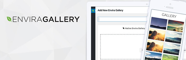 Envira Gallery插件