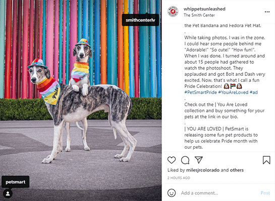PetSmart Instagram赞助帖子的例子