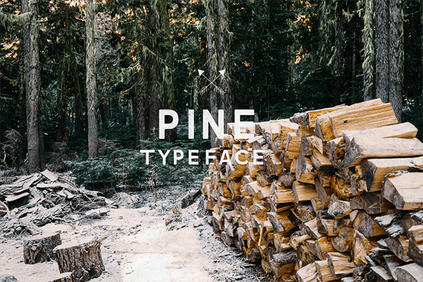 Pine字体等距字体
